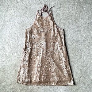 Sequin Mini Dress in Shimmering Blush Champagne